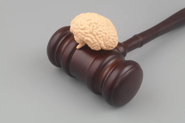 istock Wooden judge gavel with human brain on gray background 1503858984