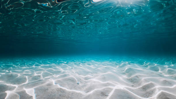 istock Ocean with sand bottom in Bahamas island. Panoramic underwater background 1503862496