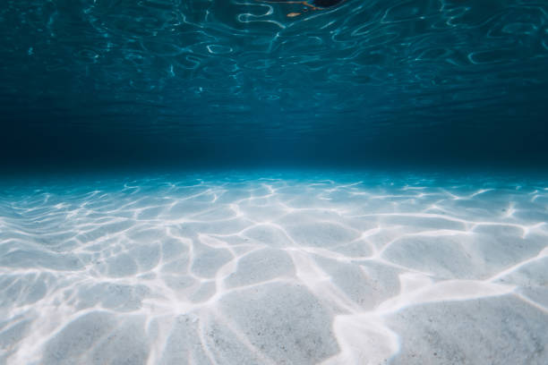istock Tropical blue ocean with sand bottom on Bahamas islands. Panoramic underwater background 1503862505