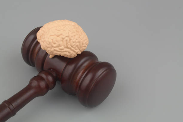 istock Wooden judge gavel with human brain on gray background 1503866954