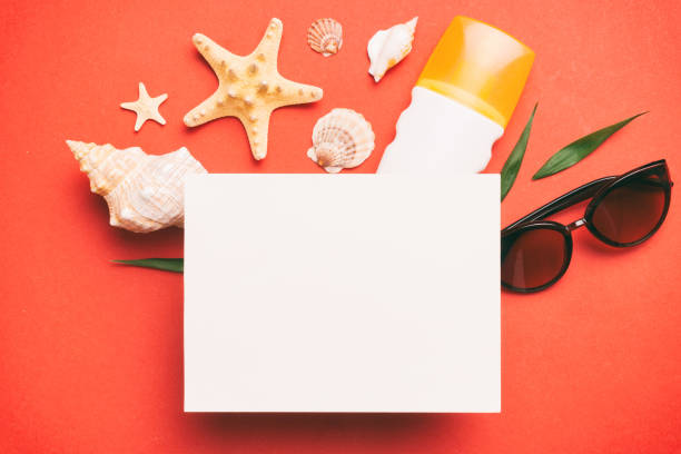 Summer time concept with blank greeting card and blank white paper on colored background. Seashells from ocean shore in the shape of frame separated with space for text top view