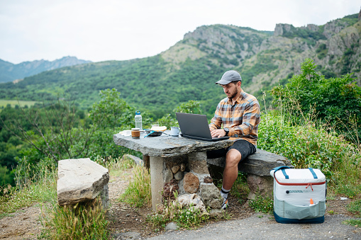 Mid adult man on picnic in nature using laptop for work.
