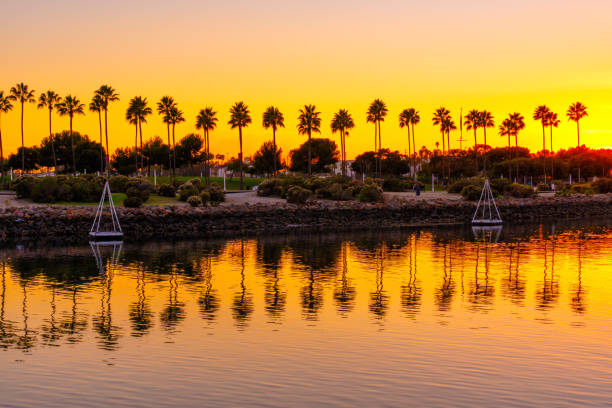 istock Waterfront View near Lions Lighthouse on Long Beach at Sunset 1503884013