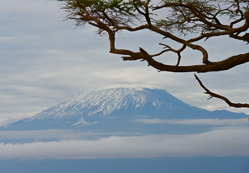 Mount Kilimanjaro and clouds line, view from savannah landscape in Amboseli, Kenya, Africa