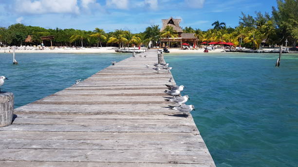 istock Beach and pier in Isla Mujeres 1503906343