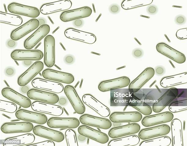 Bakterien Stock Vektor Art und mehr Bilder von Bakterie - Bakterie, Bildhintergrund, Biologie