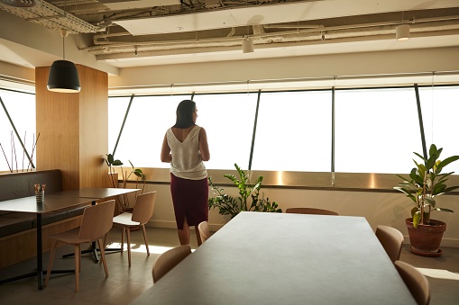 A businesswoman stands alone in an upscale office, looking out the window. The view from her back conveys a contemplative perspective as she takes a moment to look out of the window.