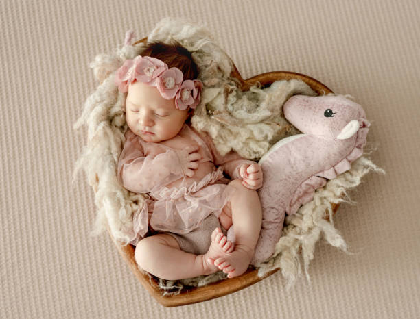 Newborn baby girl studio portrait Newborn baby girl wearing dress sleeping in heart shape basket with toy. Cute infant child kid in wreath napping on fur only baby girls stock pictures, royalty-free photos & images