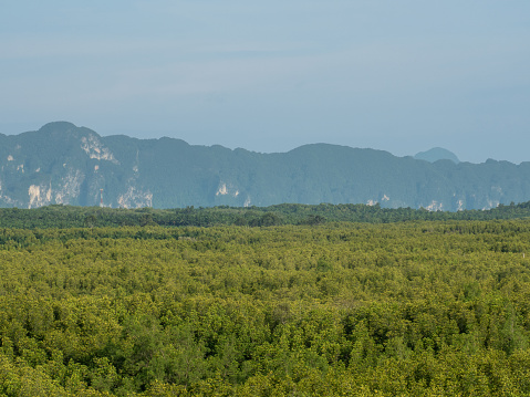 Viewed from above, The sky was clear and the mountains were cascaded down. Large area abundant of mangrove forest.