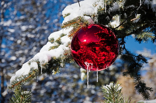 Closeup of red ball hanging from the coniferous tree covered with snow, Austria