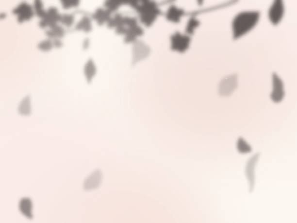 istock Cute background with shadows of leaves and branches on pink wall 1503928878