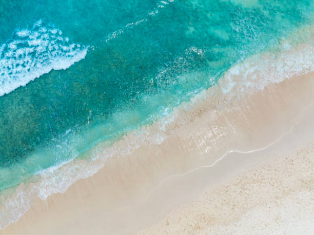 istock Summer tropical with Waves on the beach as a background 1503938218