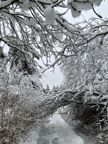 A winter fairy tale, an unsurpassed beauty