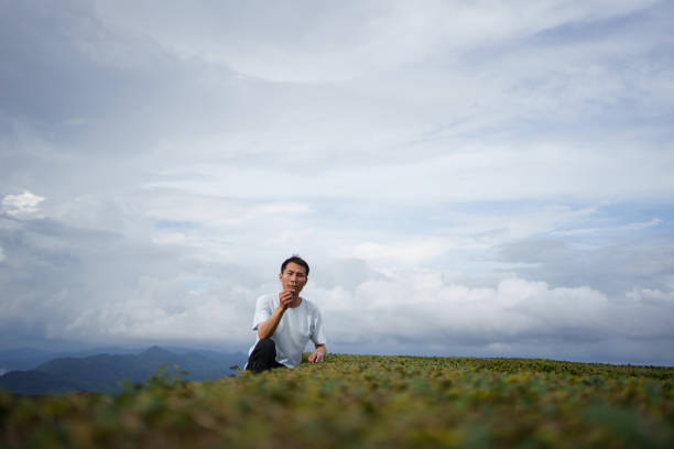 Farmer inspecting tea plantation