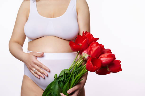closeup corpo positivo mulher grávida em lingerie, colocando a mão na barriga, em pé com um monte de tulipas no fundo branco - human pregnancy spa treatment sensuality abdomen - fotografias e filmes do acervo