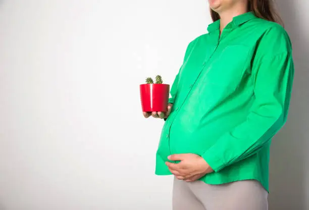 Photo of A pregnant girl in a green blouse holds a red cactus pot. Coznept of cutting pains and colic in the abdomen in pregnant women. Cystitis and pathology of the digestive system. Copy space for text