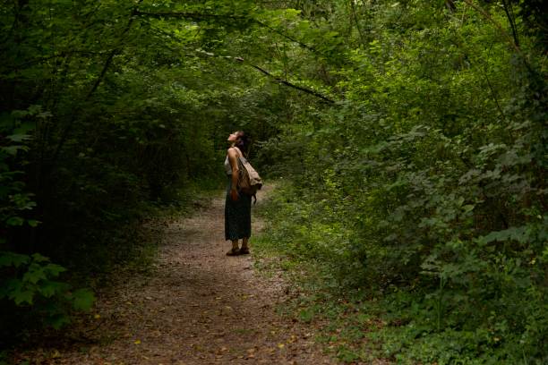 Free Stock Photo of Woman Walking Down a Path in the Woods | Download ...