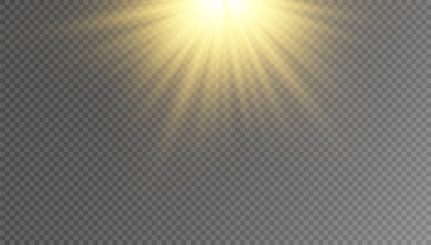 istock Golden particles of light. Golden light. Light flare.Stars isolated on transparent background. 1503988566