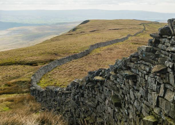 istock Stark landscape with a drystone wall. 1503993931