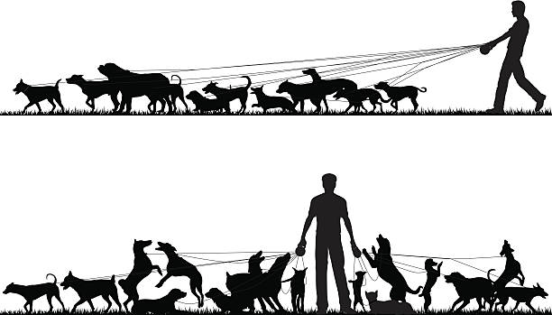 ilustrações, clipart, desenhos animados e ícones de passeador de cães - dog leash pets playing