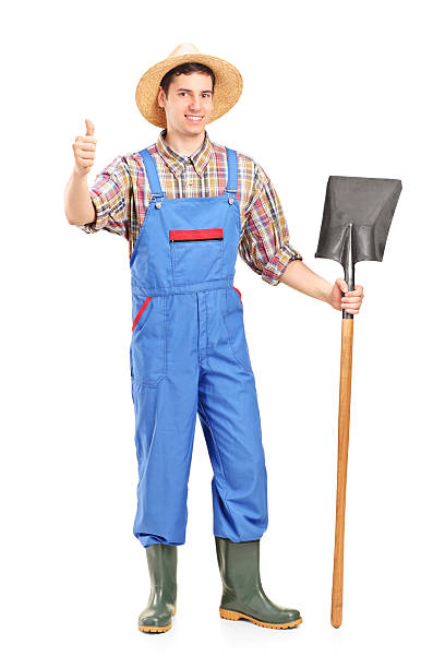 istock Male agricultural worker holding a shovel 150399784