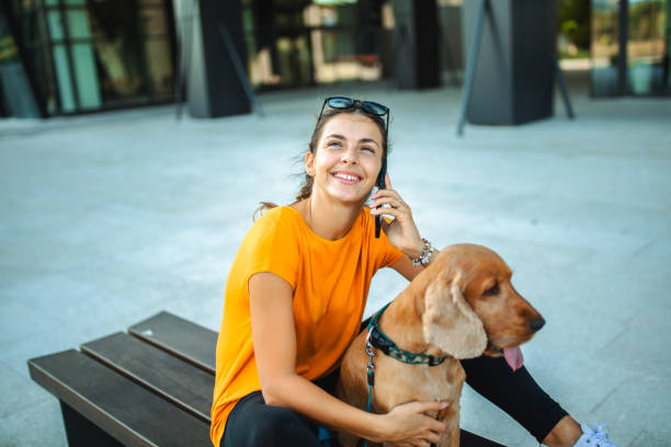 istock Young woman talking on the phone while sitting on the bench with her cocker spaniel dog 1504001901
