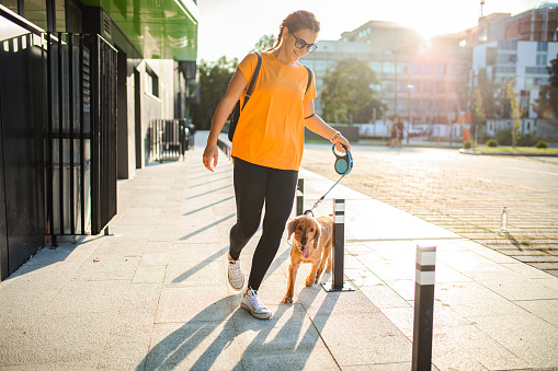 Young woman walking her dog through the city