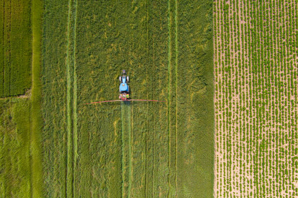 istock Aerial view of farming tractor 1504002988