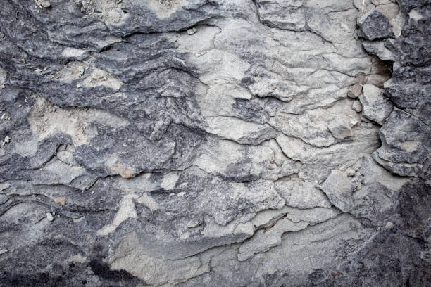 flysch, una sorta di marna sedimentaria, arenaria e formazione rocciosa argillosa. - arenaria roccia sedimentaria foto e immagini stock