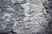 Flysch, a kind of sedimentary marl, sandstone and clay rock formation.