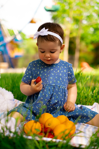 Portrait of a happy child eating oranges outdoors in summer, picnic, nature, lifestyle, family day, day off