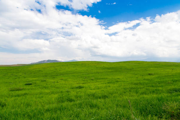 istock Beautiful spring and summer landscape. Lush green hills, high mountains. 1504030982