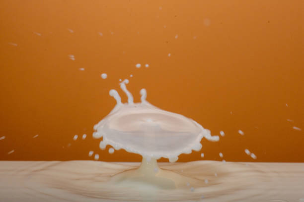 milk in the food processor view from above highspeed photography