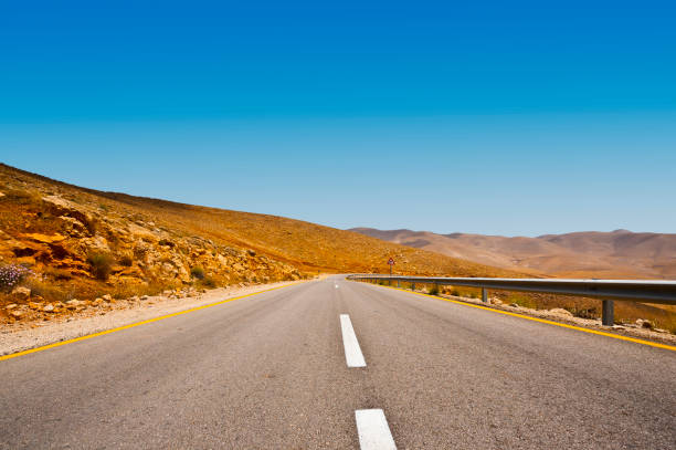 istock Sand dunes in Israel 1504041698