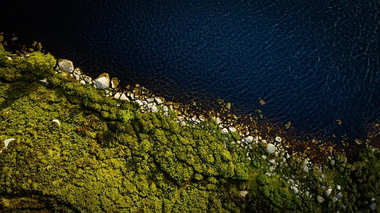 An idyllic landscape featuring a lush green moss-covered rock cliff overlooking a tranquil blue lagoon.