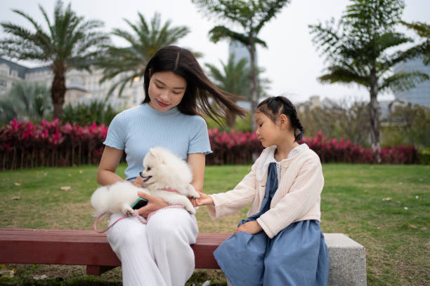 istock Asian mother and daughter playing with dogs on the grass 1504090607