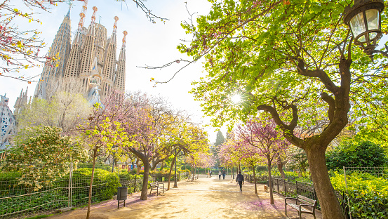 Blooming spring garden in Barcelona city centre, Spain travel photo
