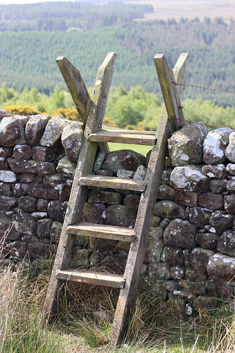 Wooden ladder stile on a footpath over a dry stone wall