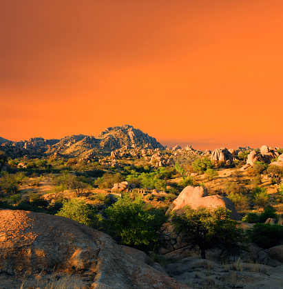 Saguaro National Park is an American national park in Pima County, southeastern Arizona.
