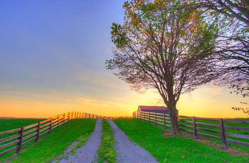 Fence lined lane to a tabacco barn at sunrise- Richmond, Kentucky
