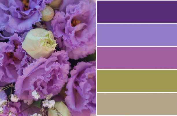 istock Beautiful rose flower bouquet, color swatch 1504153986