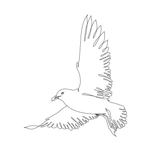 Vector illustration of Seagull in Flight Continuous Line Drawing with Editable Stroke