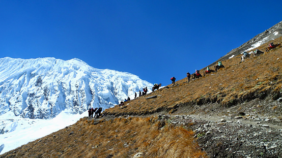 Expedition on Annapurna Circuit Trek, Himalayan mountains, Nepal. Many climbers, sherpas and horses on the way to Tilicho Lake.