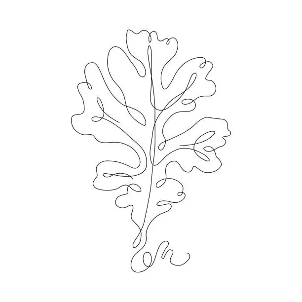 Vector illustration of Oak Leaf Continuous Line Drawing with Editable Stroke