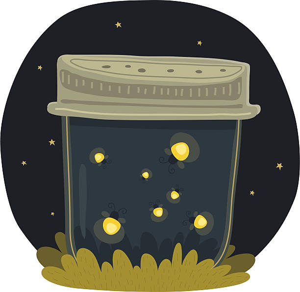 fireflies 만들진 용기 - medium group of animals illustrations stock illustrations