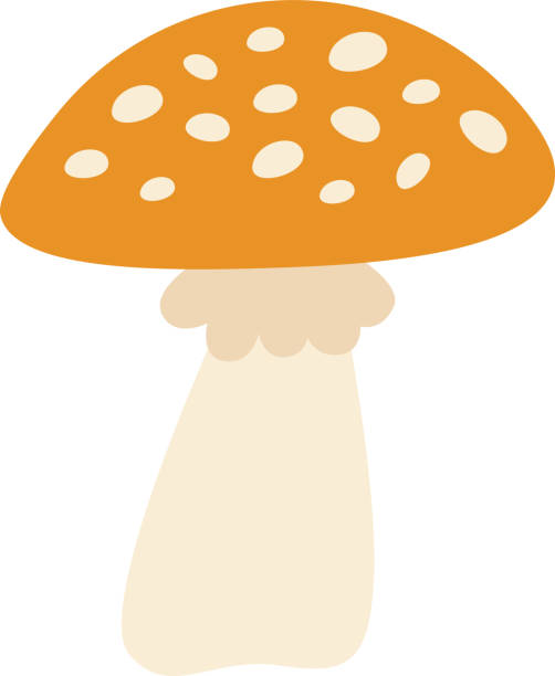 429_elements_cute_mushroom_characters - 독우산광대버섯 stock illustrations