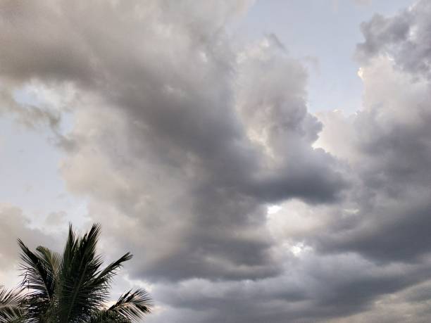 istock Artistic deer horn head visible in the grey clouds 1504177306