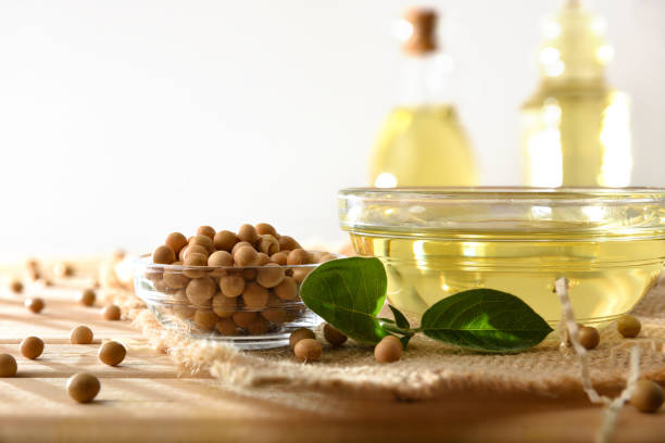 istock Soybean oil and container with soy beans and bottles 1504177942