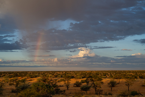 Rainbow over the Kalahari desert in the late afternoon