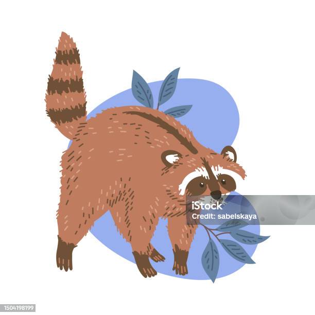 Scared Racoon Icon Vector Illustration Of Cute Scared Racoon Stands On Paws With Its Back ...